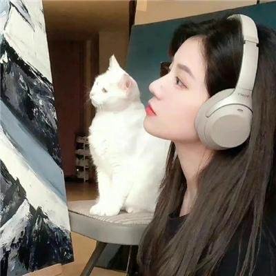 疯狂兔宝宝